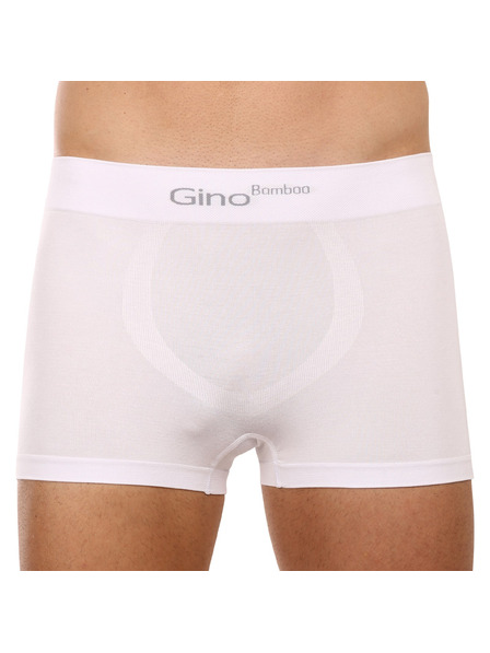 gino Boxeri