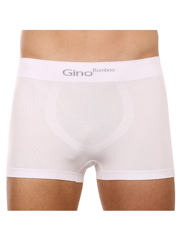 gino Boxeri