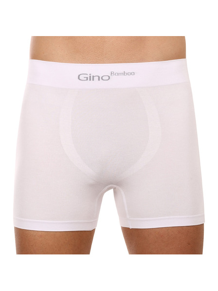 gino Boxeri