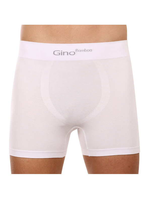 gino Boxeri