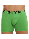 Styx Boxeri