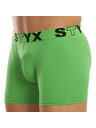Styx Boxeri