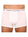 Tommy Hilfiger Boxeri, 3 bucăți