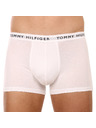 Tommy Hilfiger Boxeri, 3 bucăți