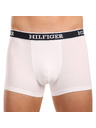 Tommy Hilfiger Boxeri, 3 bucăți