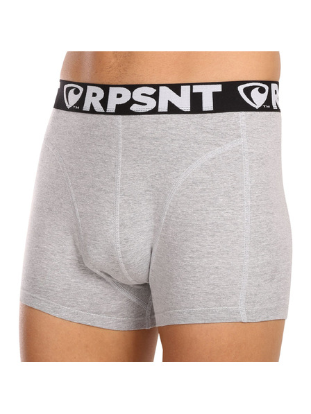 Represent Pantaloni scurți pentru bărbați EXCLUSIVE SPORT GREY Represent