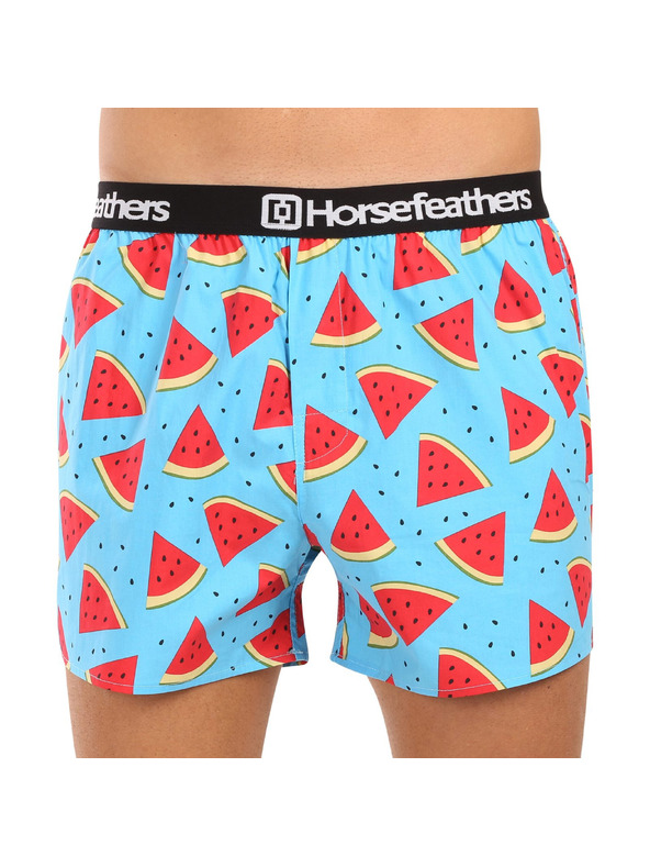Horsefeathers Boxeri Frazier 5Pack - pachet 2