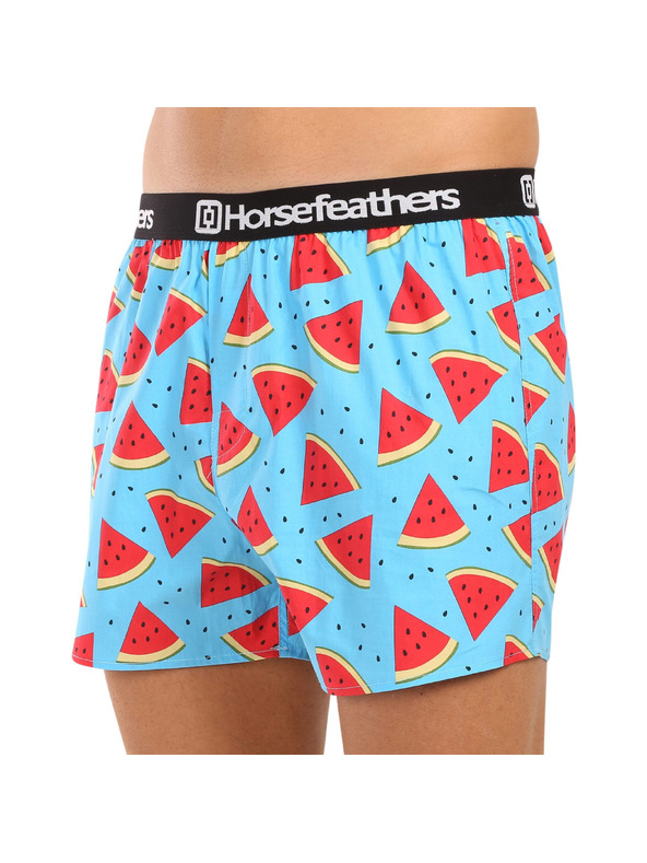 Horsefeathers Boxeri Frazier 5Pack - pachet 2