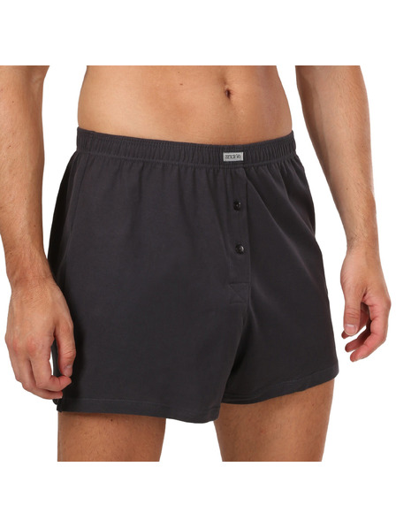 andrie Boxeri bărbați Andrie gri (PS 5877/grey)