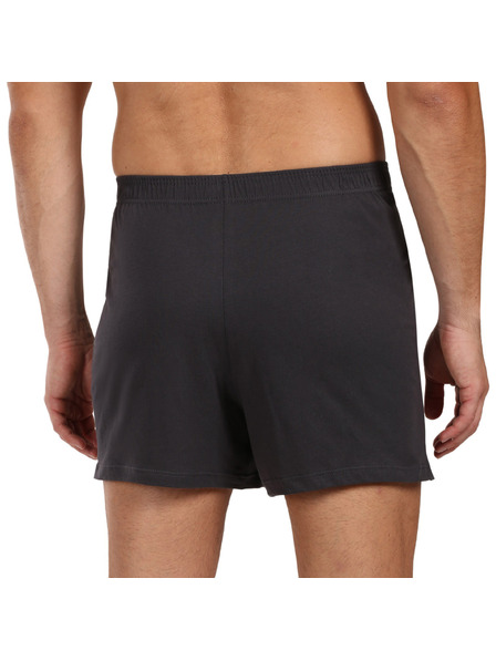andrie Boxeri bărbați Andrie gri (PS 5877/grey)