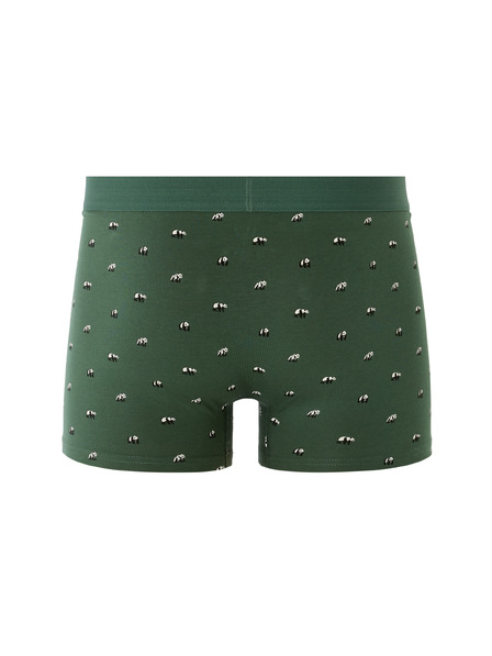 Celio Boxeri Mibopanda
