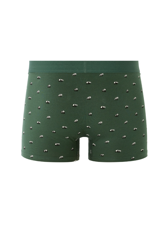 Celio Boxeri Mibopanda