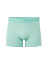 Celio Boxeri Libocitrus