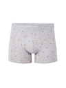 Celio Boxeri Libosafety