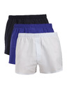 Calvin Klein Set de trei - slip bărbați Calvin Klein multicolori