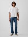 GAP Blugi Straight GapFlex GAP