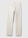 GAP Blugi Straight GapFlex GAP